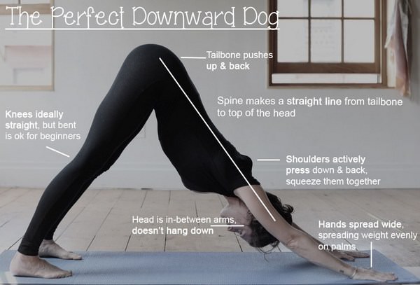 down-dog-pose-how-why-yoga-classes-in-bandra-khar-mumbai