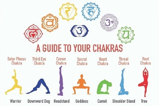 7 Chakras And Yoga Yoga Classes In Bandra And Khar Mumbai Yoga Central 